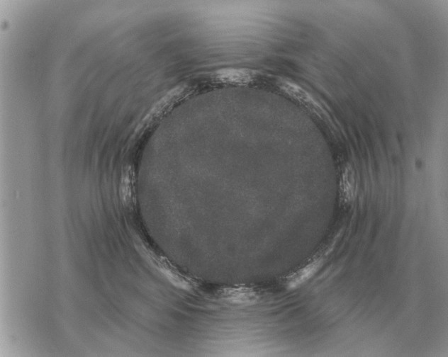 X0000069800424200606161828