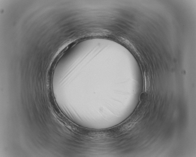 X0000069800435200606161827