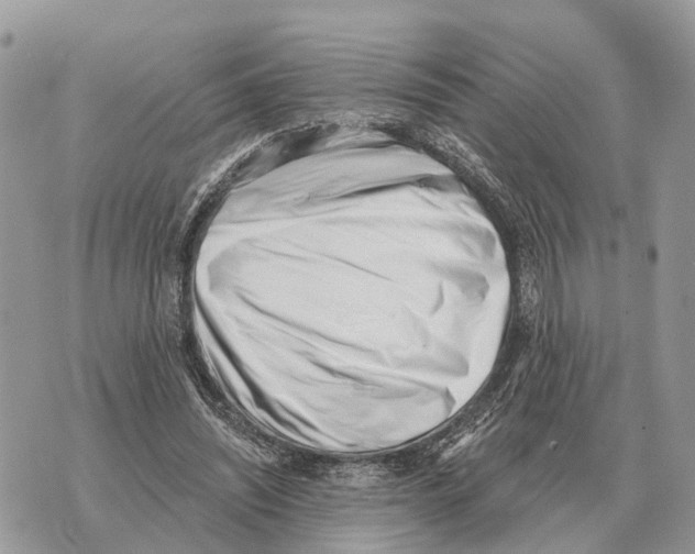 X0000069800444200606161827
