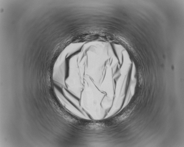 X0000069800453200606161828