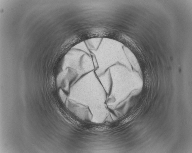 X0000069800459200606161828