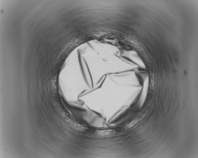 X0000069800461200606161828