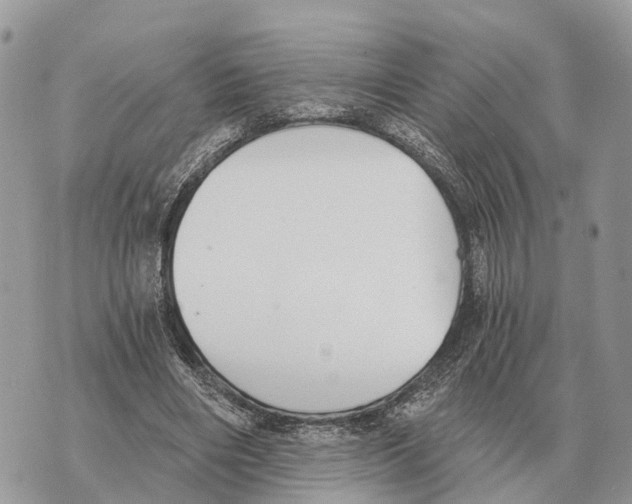 X0000069800490200606161827