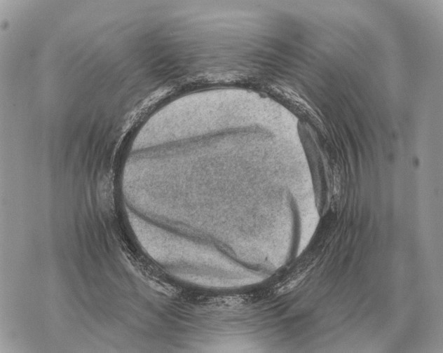 X0000069800492200606161827