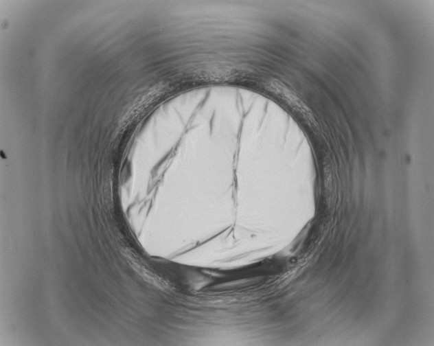 X0000069800493200606161827