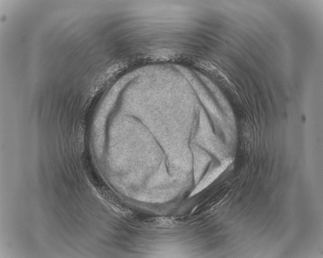 X0000069800496200606161827
