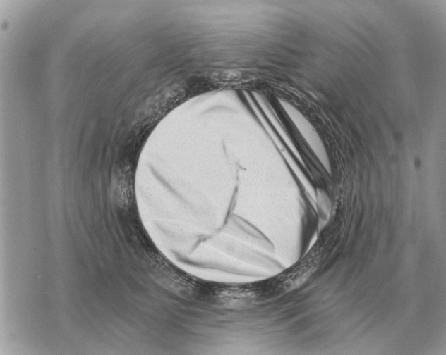 X0000069800515200606161827