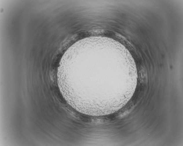 X0000069800523200606161827