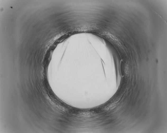 X0000069800540200606161826