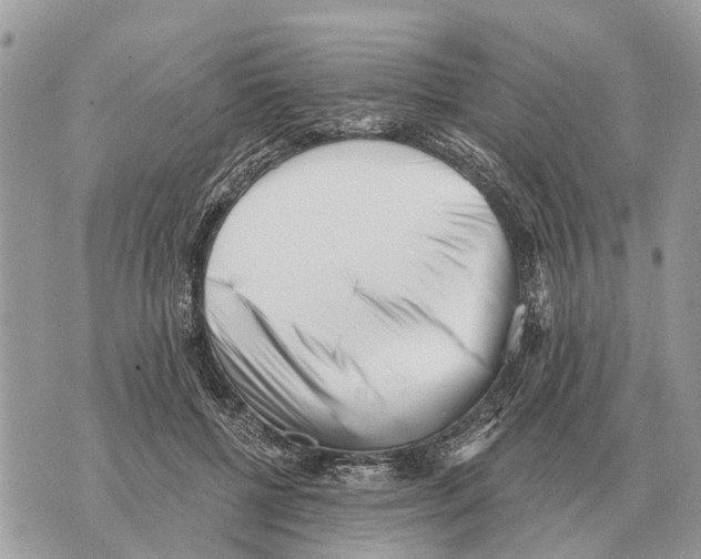 X0000069800552200606161826