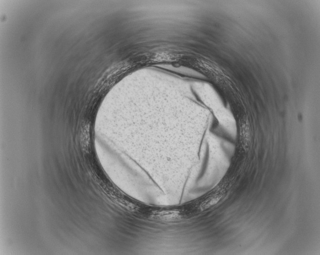 X0000069800554200606161826