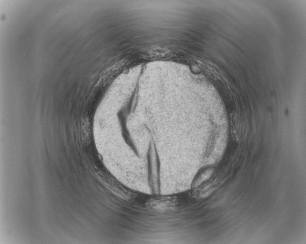X0000069800563200606161826