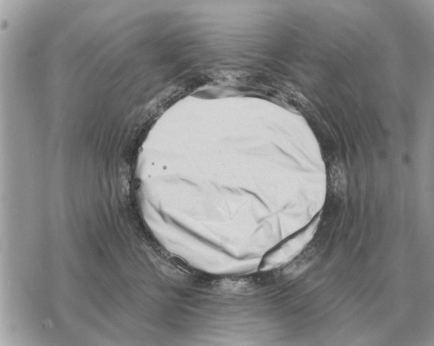 X0000069800570200606161826