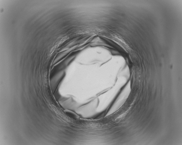X0000069800585200606161826