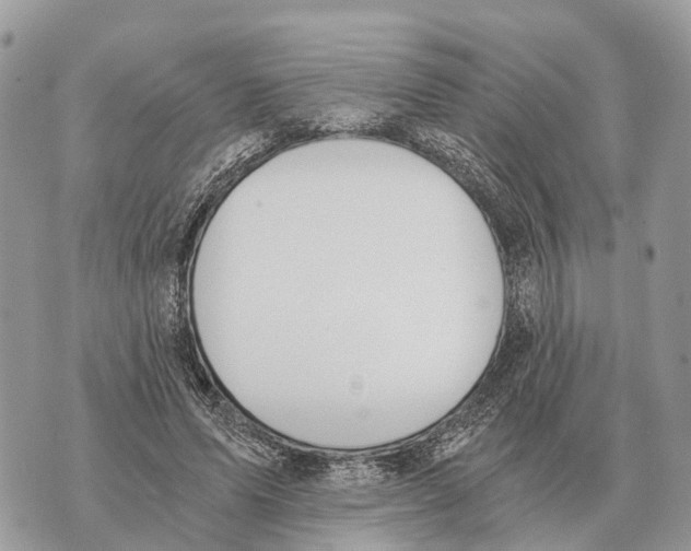 X0000069800591200606161825