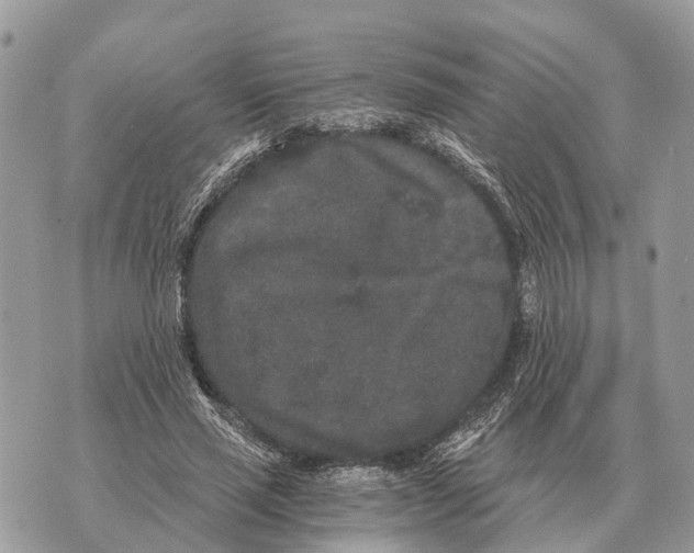X0000069800637200606161824