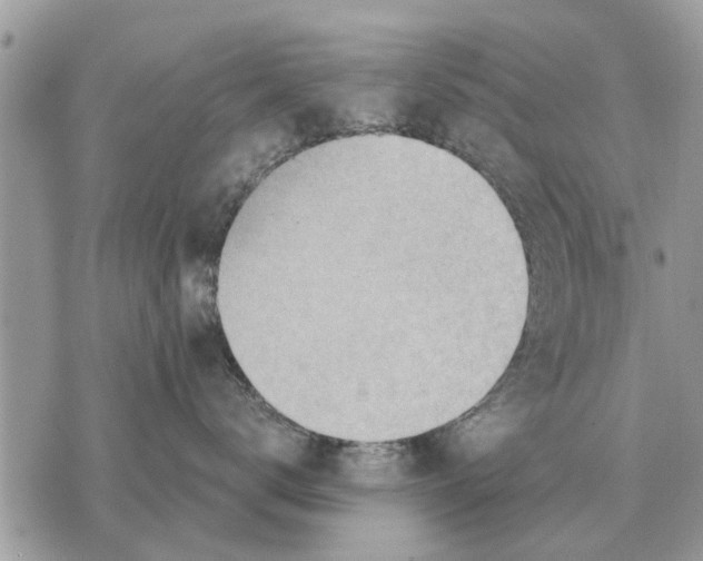 X0000069800672200606161825