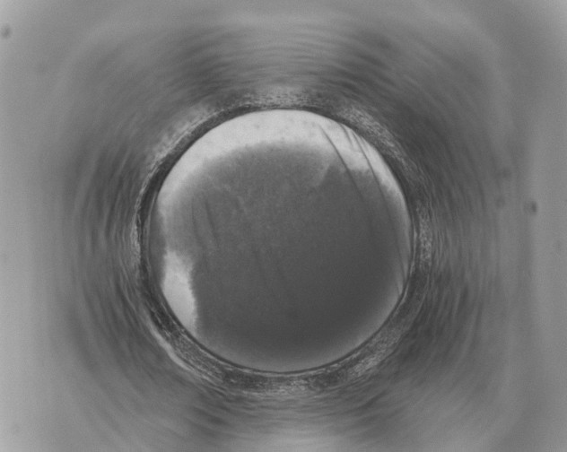 X0000069800674200606161824