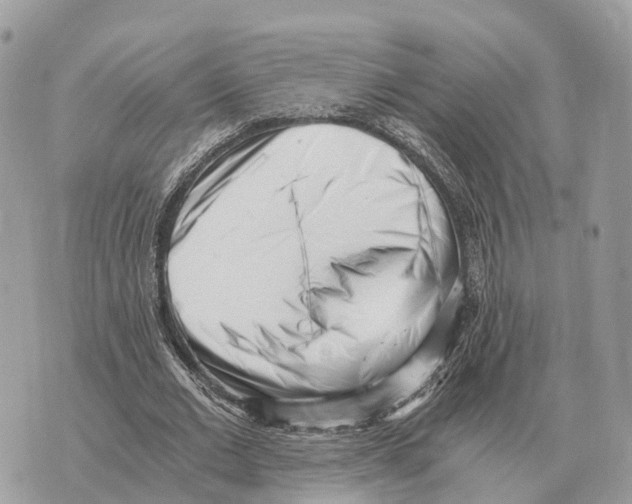 X0000069800677200606161824