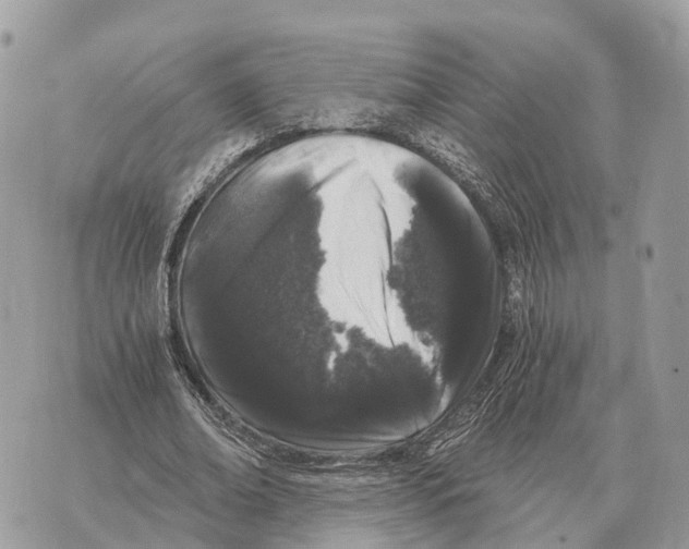 X0000069800678200606161824