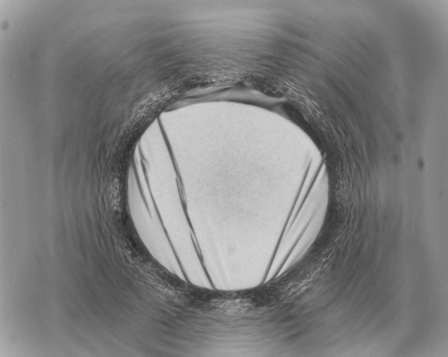 X0000069800689200606161824