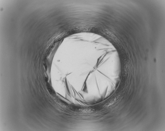X0000069800693200606161824