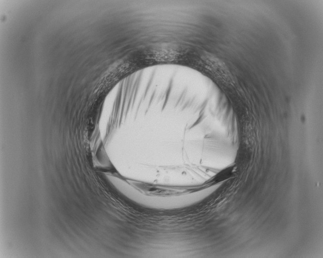 X0000069800697200606161824