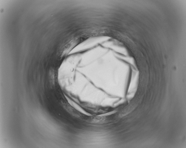 X0000069800720200606161823