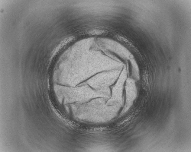 X0000069800734200606161823