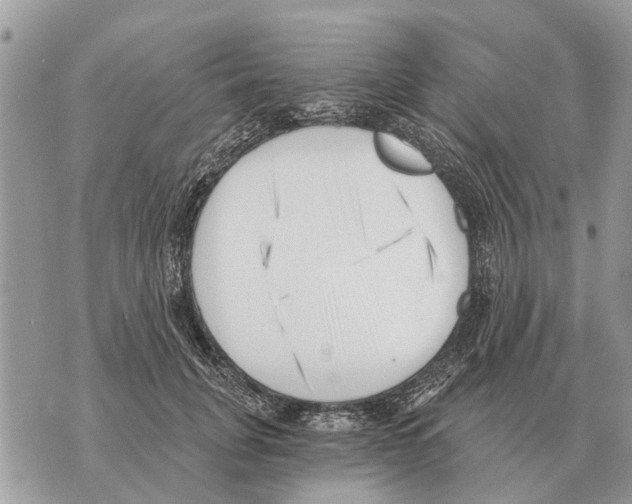X0000069800751200606161823