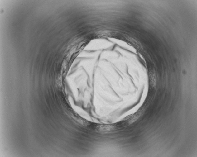 X0000069800766200606161823