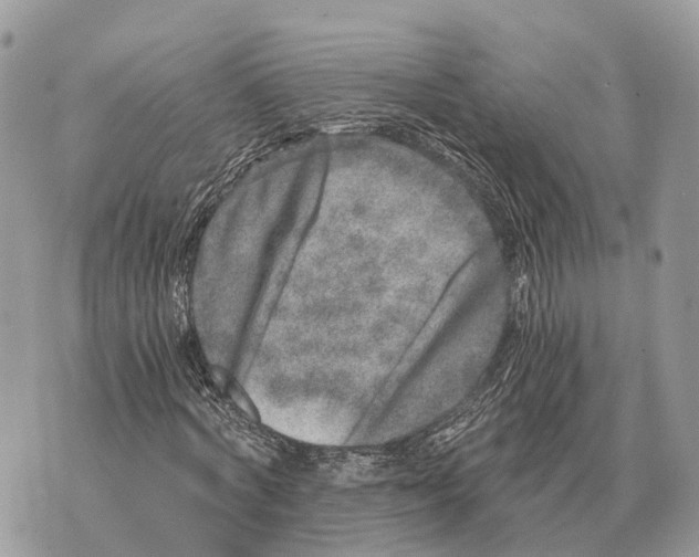 X0000069800772200606161822