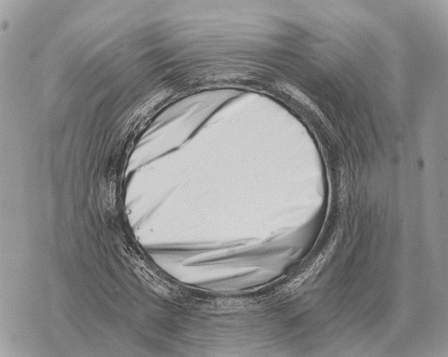 X0000069800777200606161822