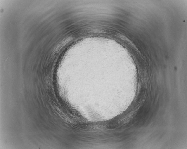 X0000069800785200606161822