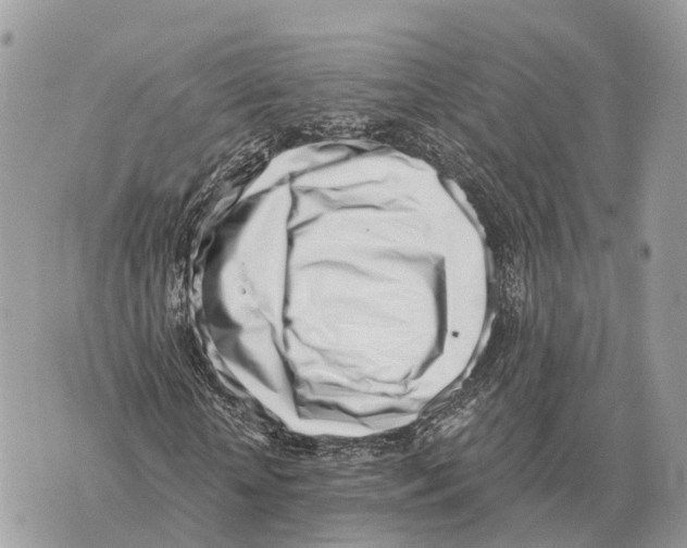X0000069800818200606161821