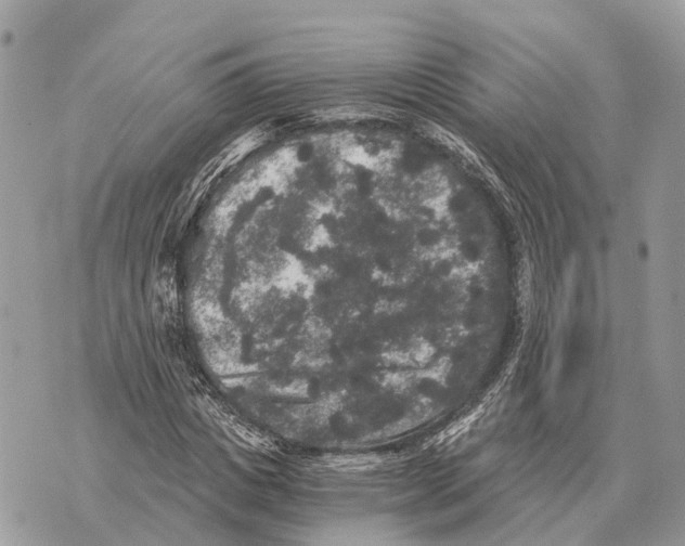 X0000069800825200606161821