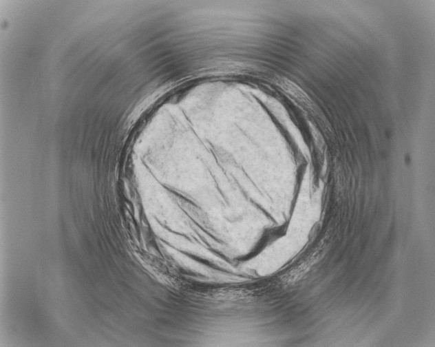X0000069800842200606161821