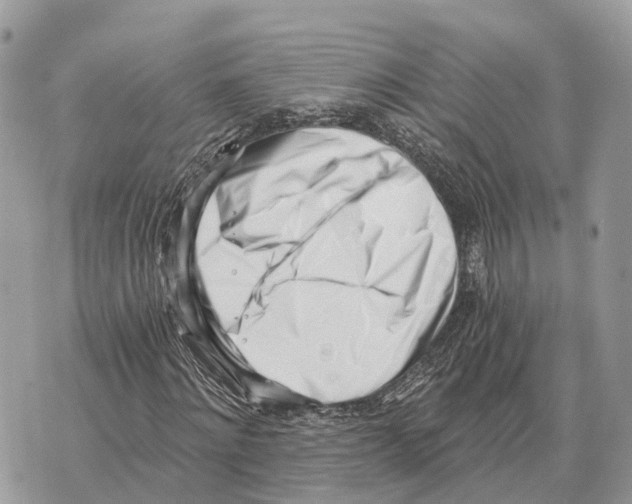 X0000069800868200606161821