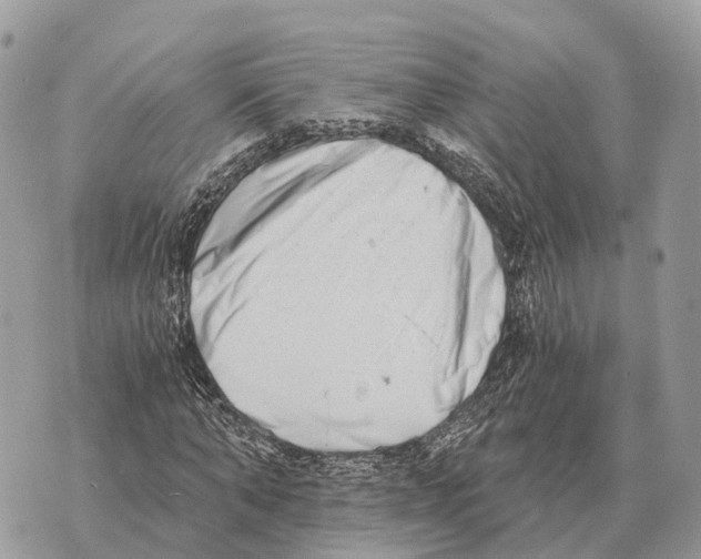 X0000069800870200606161821