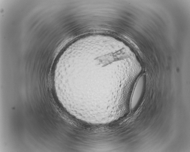 X0000069800891200606161820