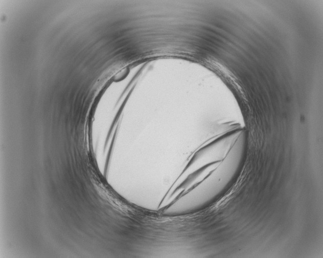 X0000069800892200606161820