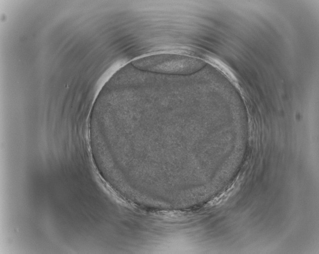 X0000069800907200606161820