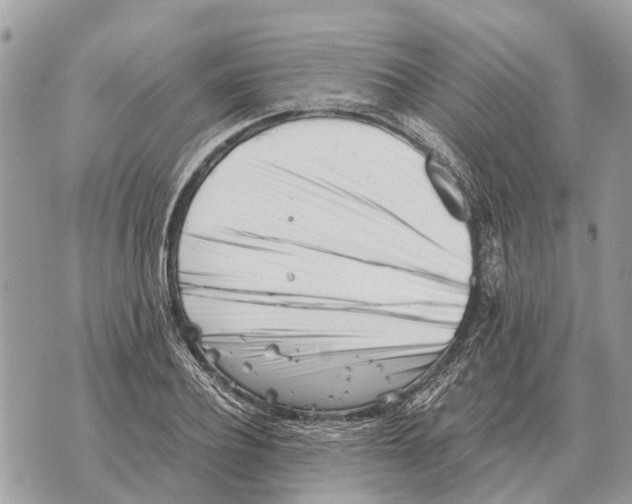 X0000069800932200606161820