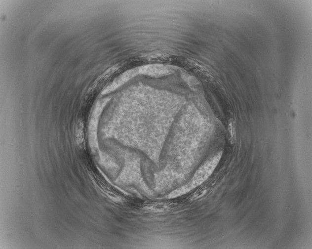 X0000069800963200606161819
