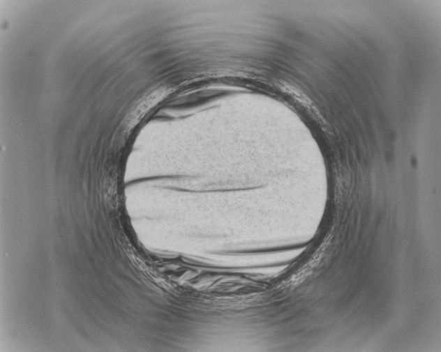 X0000069800977200606161819