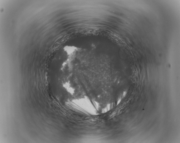 X0000069801013200606161818