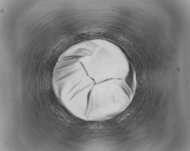 X0000069801014200606161818