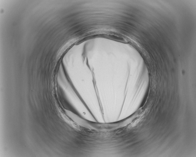 X0000069801042200606161818