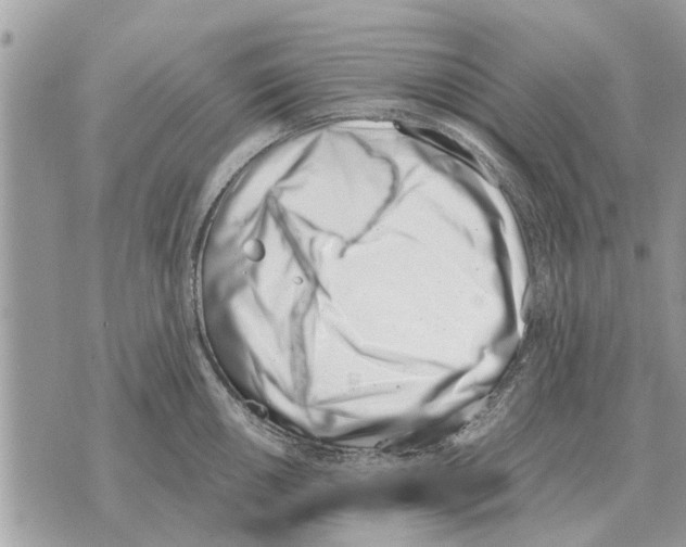 X0000069801050200606161818