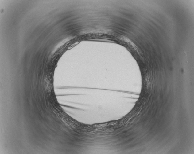 X0000069801064200606161818
